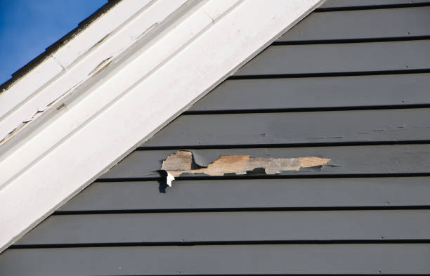 Best Hoarding Cleanup  in South Fulton, TN